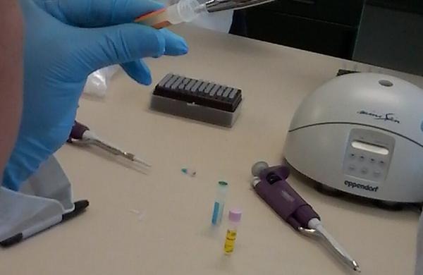 Espermiología y Biología Molecular